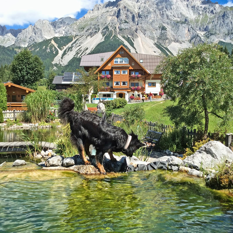 Urlaub in der Steiermark, Pension Haus am Bach, Ramsau am Dachstein