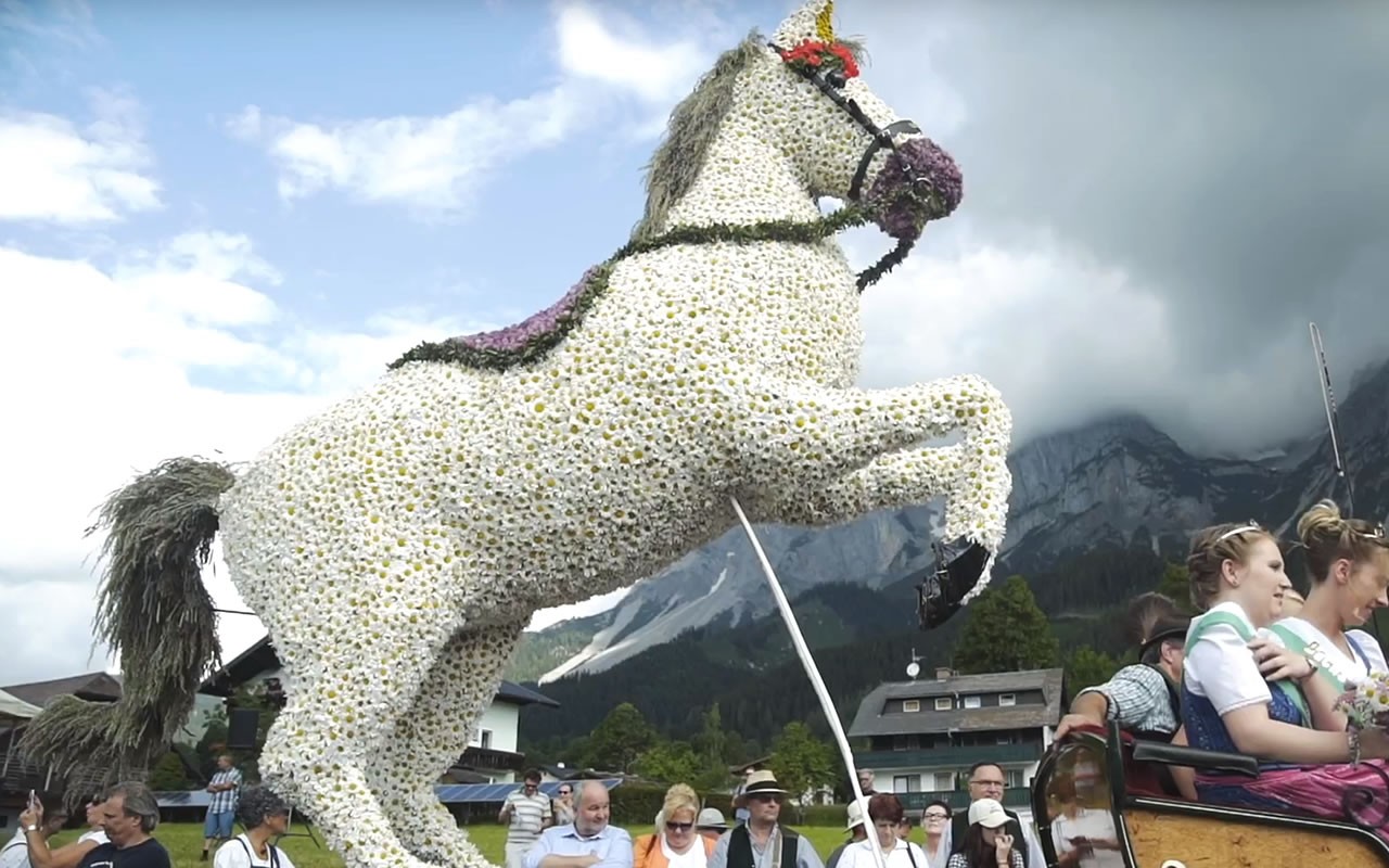 Frühlingsfest der Pferde