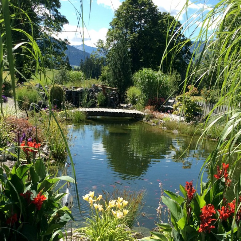 Unser Gartenteich im Sommer in Ramsau am Dachstein