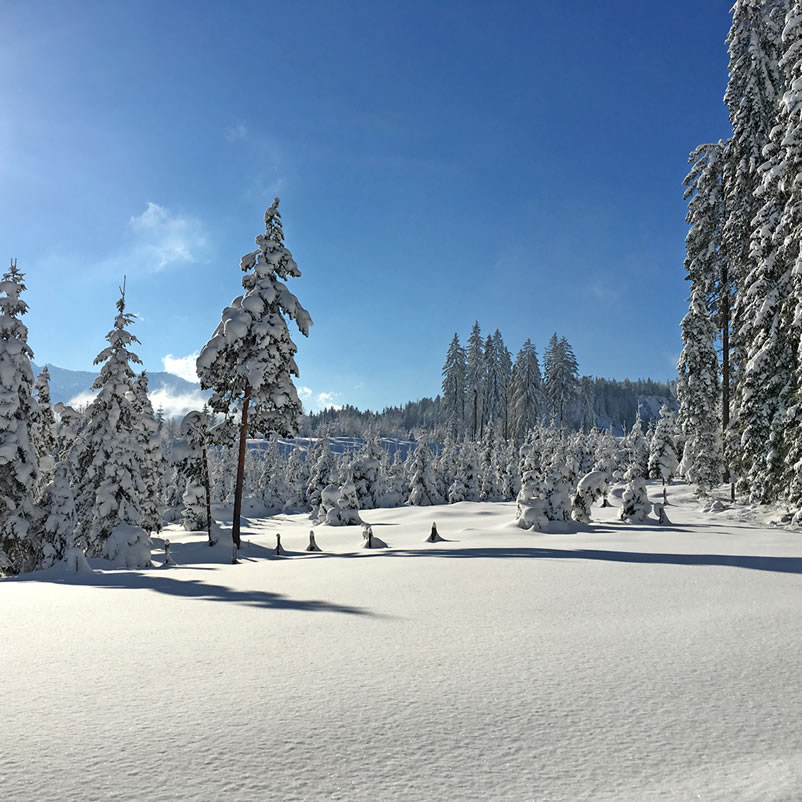 Skitouren gehen © TVB Ramsau Dachstein